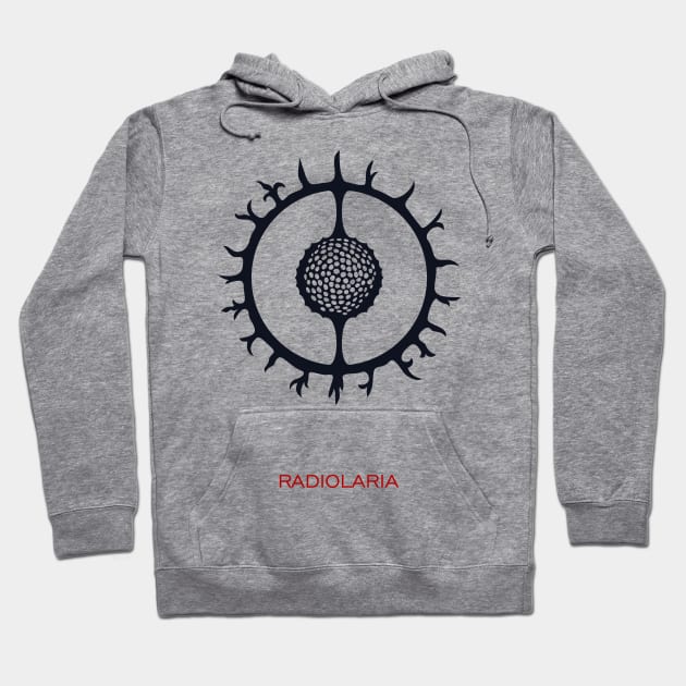 Radiolaria Hoodie by masha